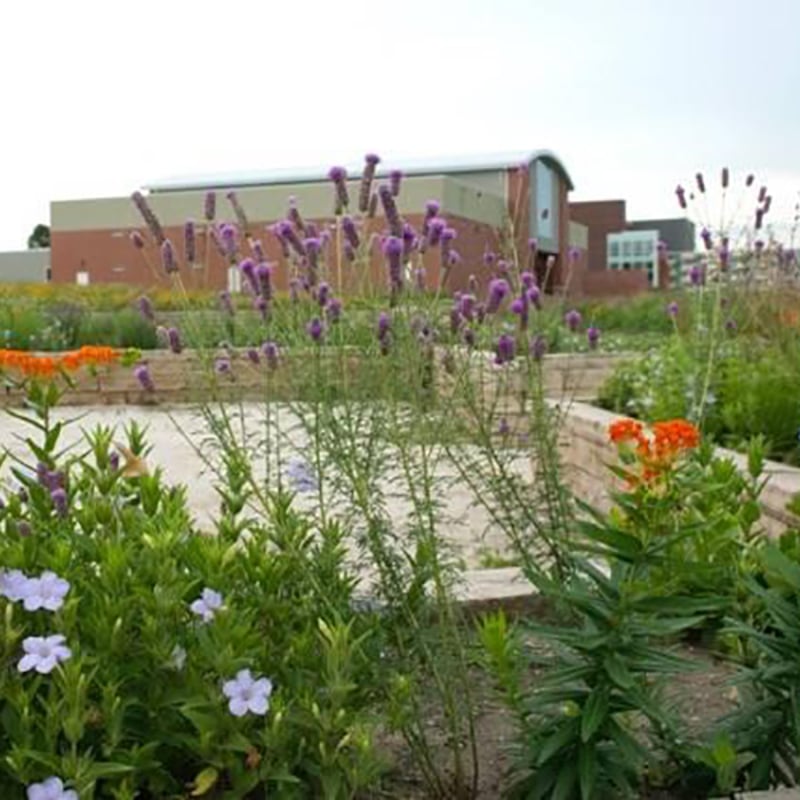 Iowa Women's Prison preview 2